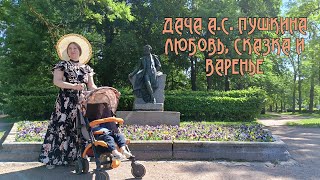 Александр Сергеевич Пушкин. Дача в Царском селе. Любовь, Сказка о царе Салтане и Крыжовенное варенье