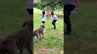 The best gender reveal in the World.💙🎉✨ #genderreveal #surprisereunion #funny #grandparenting