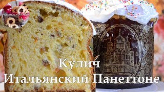 Кулич Итальянский Панеттоне I как приготовить кулич