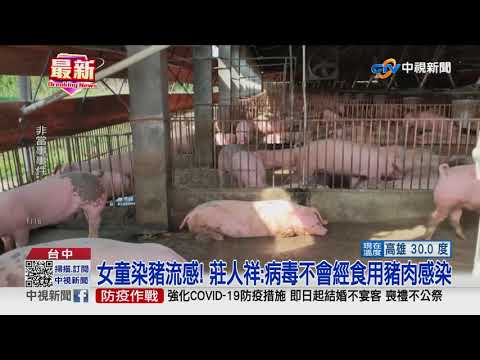 新型豬流感首例! 中部5歲女童染H1N2v│中視新聞 20210607