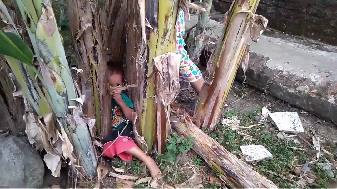 45 Gambar Lucu Anak Kecil Naik Pohon Pisang Terlengkap 