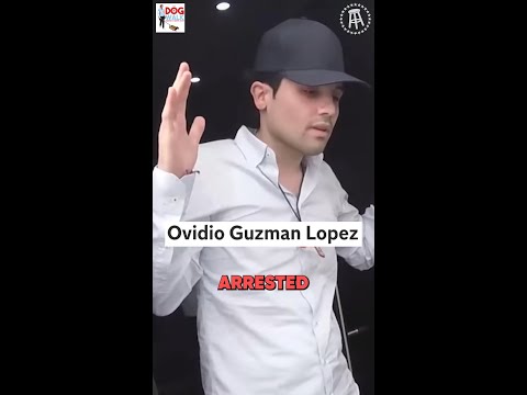 Video: Joaquín Guzmán Loera Neto vrednost