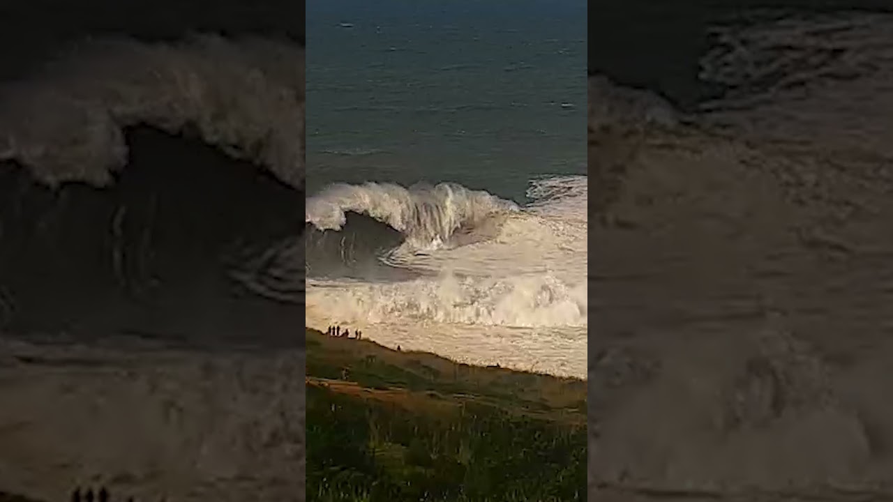 Clips
