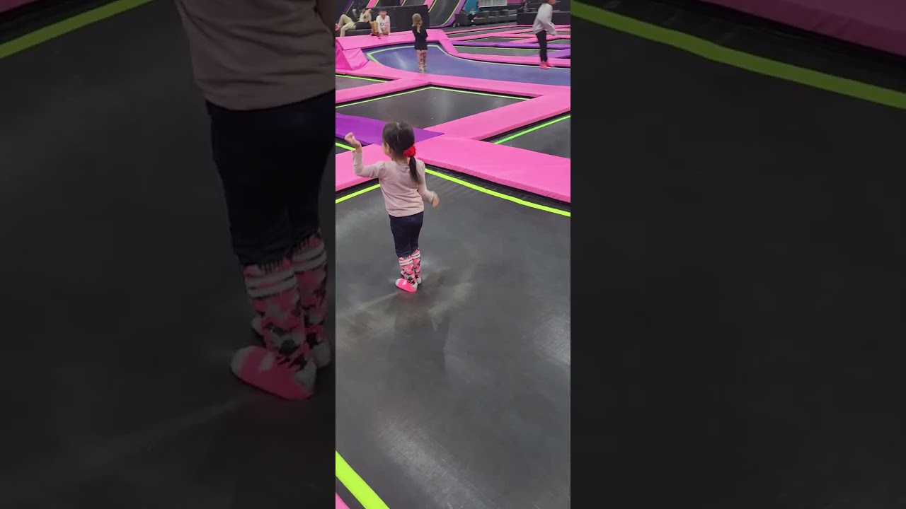 flying squirrel | calgary | 2025