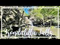 Sunshine Coast must visit | Kondalilla National Park 🇦🇺 | The Galon Family