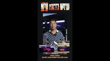 HÀNH TRÌNH NUÔI VÀ NHÂN GIỐNG CÁ RỒNG - TRẠI CÁ ROBIN  | CÁ CẢNH HỒNG ANH