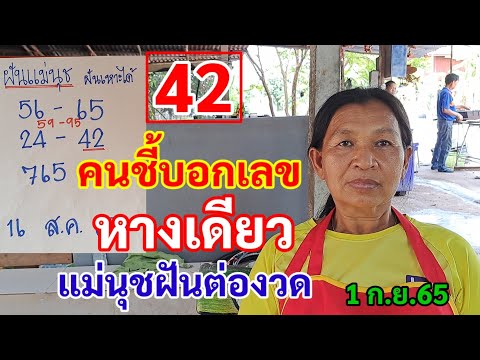 42 คนชี้บอกเลข หางเดียว แม่นุชฝันต่องวด 1ก.ย.65