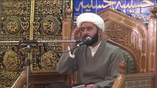 الشيخ علي مظفر | طول عمر الامام المهدي خرافة أم حقيقة ؟