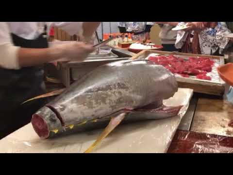 現殺鮪魚-3