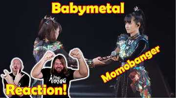 Musicians react to hearing Babymetal Momobanger  Live complication  Legend MM [20 night] at Yokohama