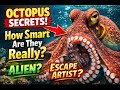 This Octopus Is Smarter Than You Think 🐙😱