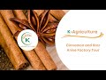 Vietnamese cinnamon and star anise production