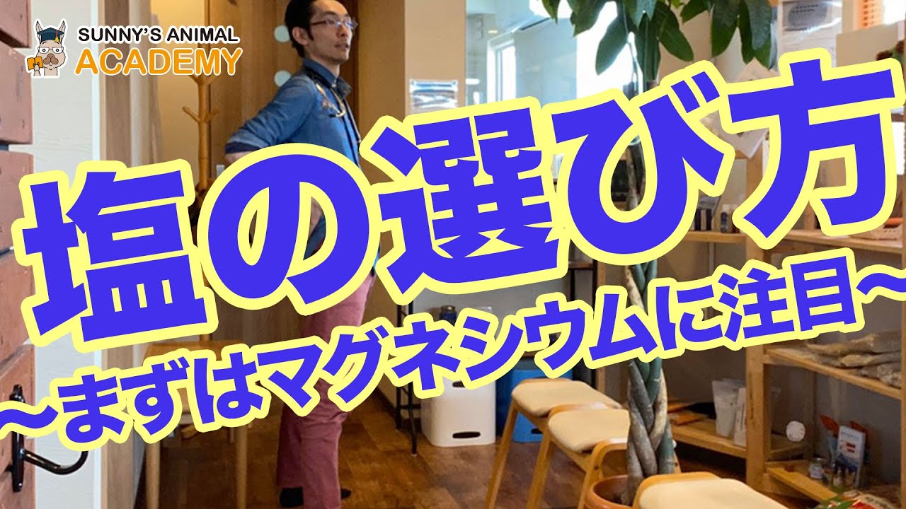 塩の選び方〜まずはマグネシウムに注目〜（サニーズアニマルクリニック）