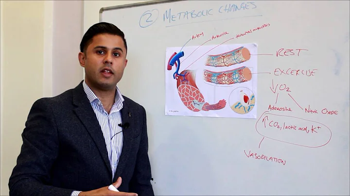 Part III - Cardiovascular Responses to Aerobic Exercise (Blood Flow & Sympathetic Activity)