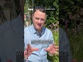 Tips from Bord Bia Bloom