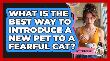 What Is The Best Way To Introduce A New Pet To A Fearful Cat? - Happy Cat Handbook