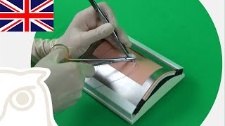 CSL: Continuous Sutures - Subcuticular Suture
