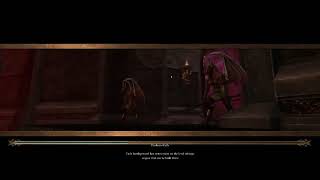DAOC Dark Age Of Camelot Official Yawain 2024 ? Df  Cabalist Guild Group 45+ #05