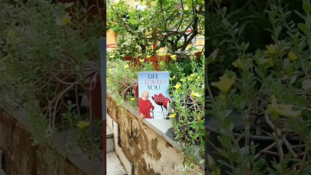 Book recommendations!                    