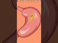 यह देखो दोस्तों बंदर 🐒बिस्किट को कैसा चल रहा है😱🙏#funny#ytshorts#shorts#video