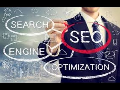 Expert SEO Services