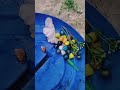 pls subscribe me 🙏🥹 hai