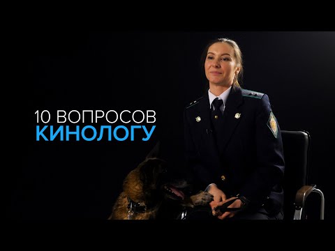 10 вопросов кинологу