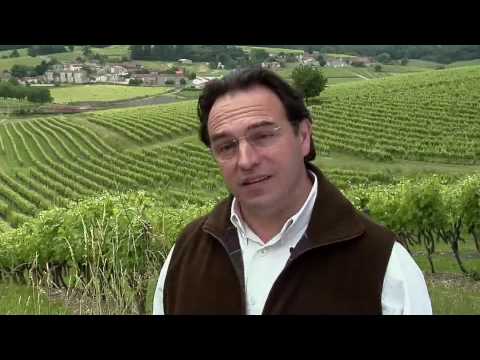 Remy Martin - Cognac wine growers