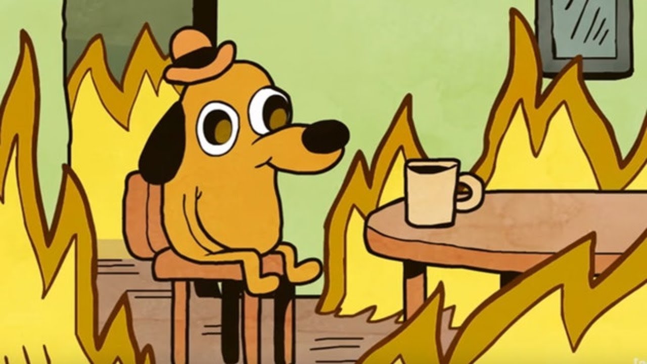 This is fine steam фото 85