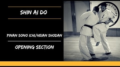 Pinan sono ichi/ Nidan/ Heian Shodan - Opening Oyo Bunkai