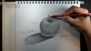 Tipos de sombras. Cómo dibujar una Manzana realista FÁCIL ART