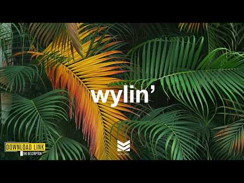 "wylin"---goldlink-x-major-lazer-type-beat-|-pop-instrumental-(prod.-mantra)