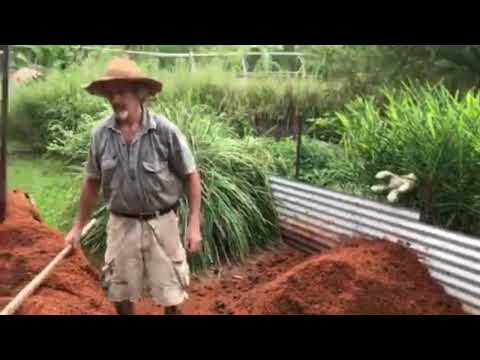Video: Folosirea rumegușului în grămada de compost - Grădinărire Know How