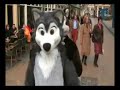 Fursuit walk Delft