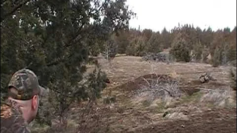 Clover Creek Ranch Pig Hunt.mpg