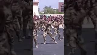 الجيش المصري مش معقول The Egyptian army is unreasonable screenshot 5