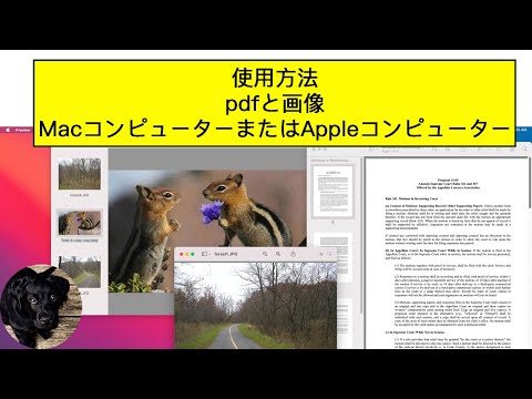AppleコンピュータまたはMacintoshコンピュータでPDFファイルと画像を操作する方法。 Appleプレビュー。