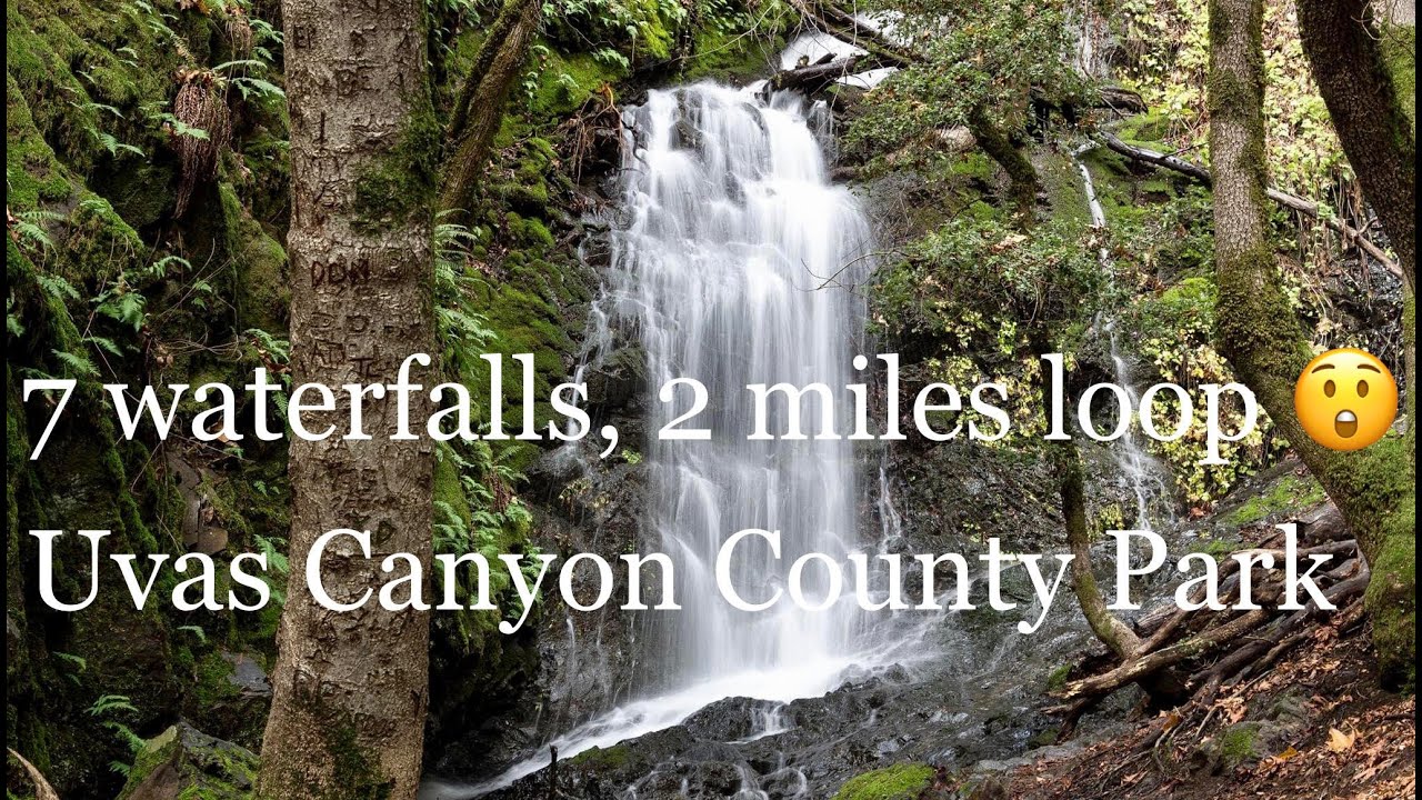 Uvas Canyon County Park Trails