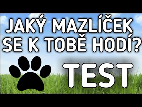 Video: Jaké je jméno domácího mazlíčka?