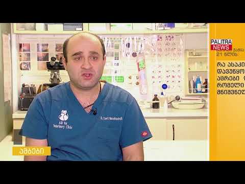 თქვენს კითხვებს ვეტერინარი დავით ნანობაშვილი პასუხობს