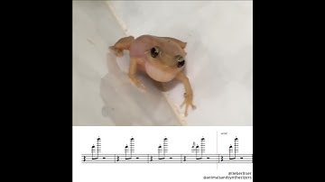 Thumbnail of Coqui Karaoke