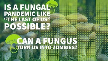 Can "The Last of Us" be real? Can a fungus turn us into zombies?