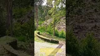 Monte Agrichoso 🇵🇹 Viana do Castelo - Afife - Portugal #music #portugal #god #travel #toptrending