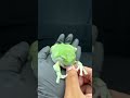 Hand Feeding Indonesian White Tree Frogs