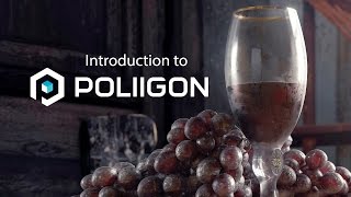 Introduction to Poliigon