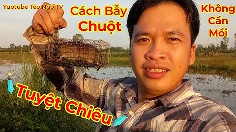 Cách Bẫy Chuột Đồng Không Cần Mồi/Nghệ Thuật Lắm Nhe/Tèo Ngố TV. #146.