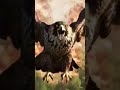 Animal transformation #animals @DANGEROUSTRANSFORMATION @LastsecLast @riyapatel344-9e