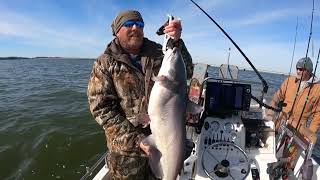 Beautiful catfish almost took off with the fish grips Lake Tawakoni Texas.