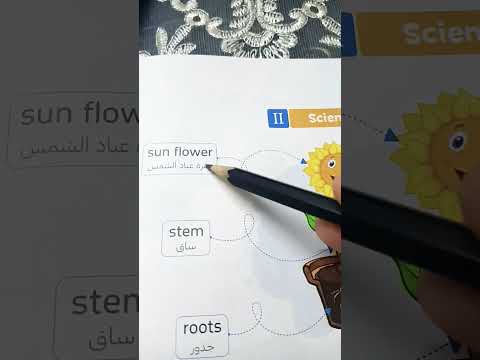 اجزاء الوردة