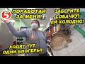 ПЯТЕРОЧКА САМЫЙ ТУХЛЫЙ МАГАЗИН В МИРЕ / БЕДНАЯ СОБАКА ГОЛОДАЕТ В ПЯТЕРОЧКЕ / НОВОГОДНИЙ РОЛИК 2022